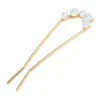 Arcadia Chignon Pin