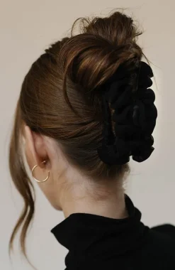 Aubrieta Jaw