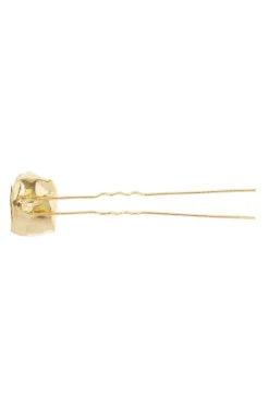Elysian Chignon Pin