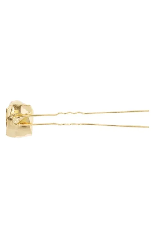 Elysian Chignon Pin