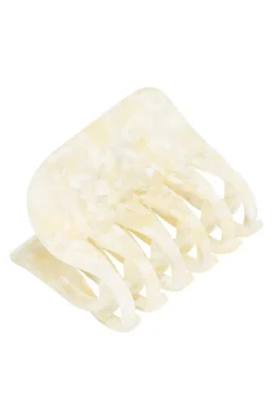 Large Double Tooth Jaw - Pavlova